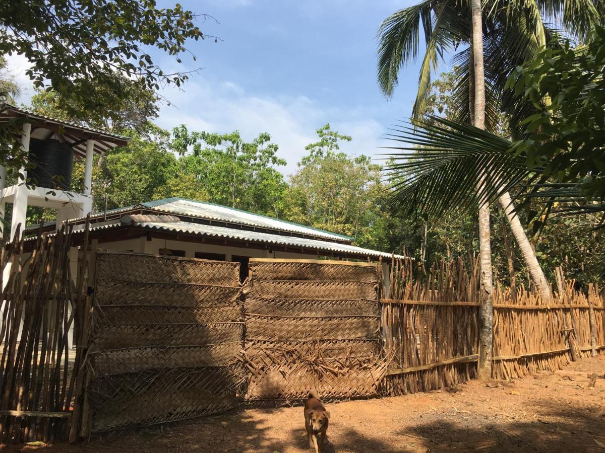 Cashew Villa Hiriketiya Dickwella Exterior photo