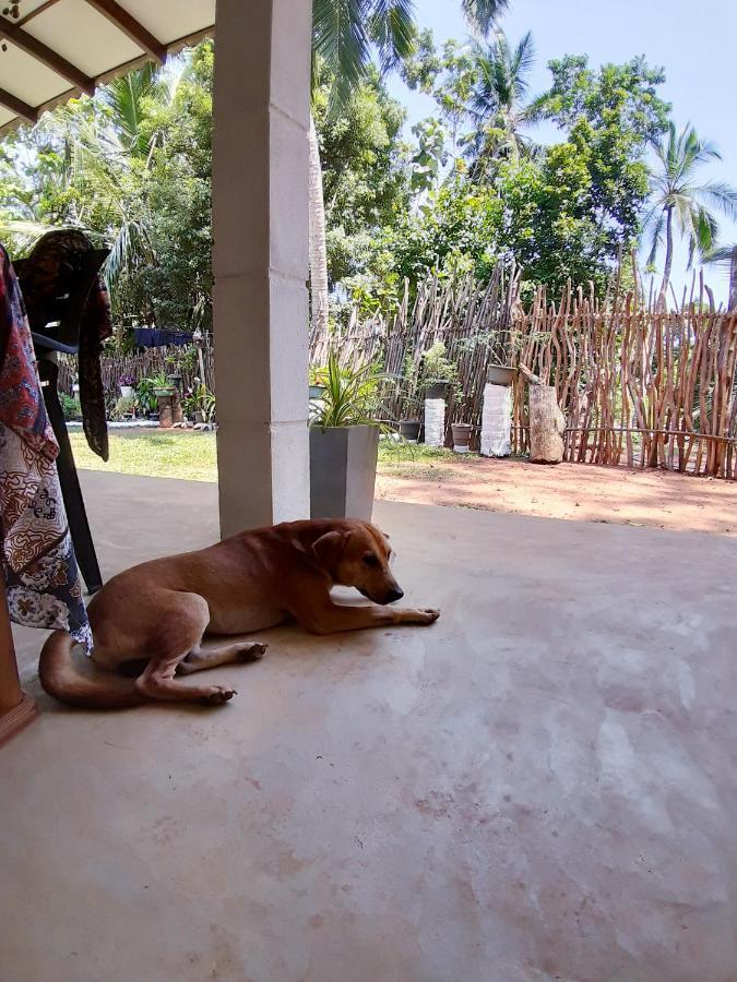 Cashew Villa Hiriketiya Dickwella Exterior photo