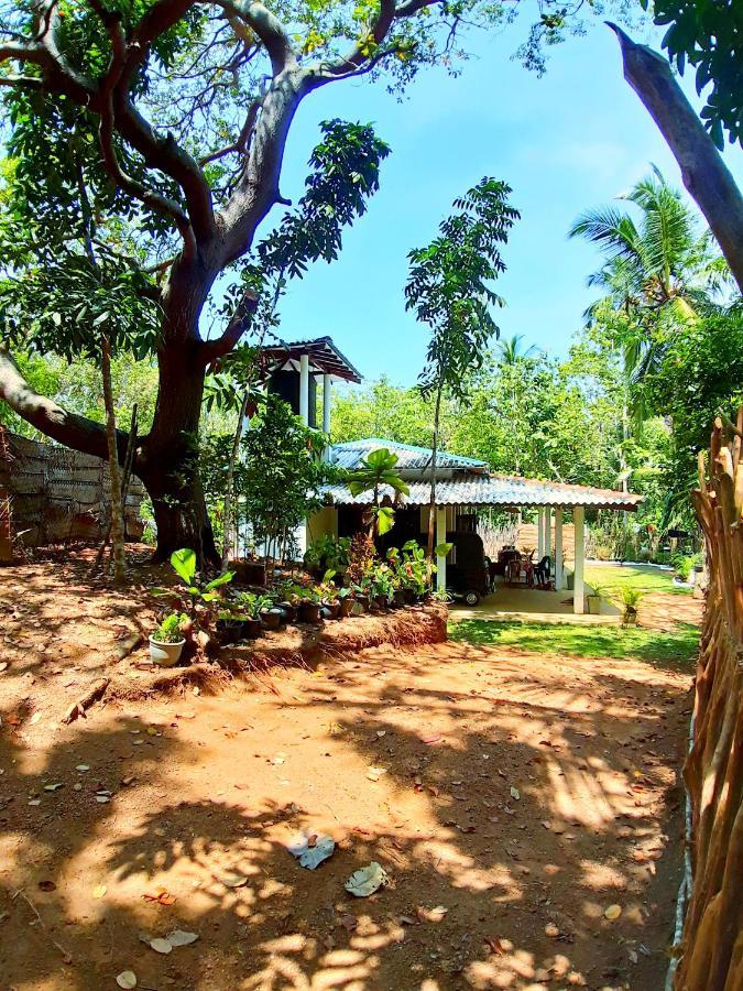 Cashew Villa Hiriketiya Dickwella Exterior photo